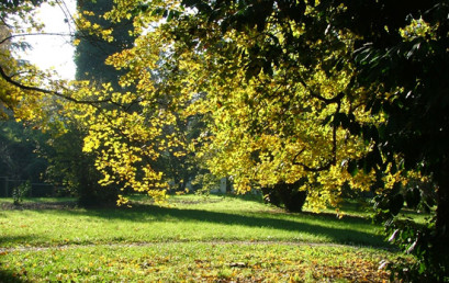 Il divenire del verde urbano al Portello