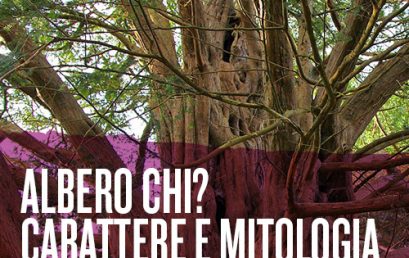 Albero chi? Carattere e mitologia degli alberi – Incontro Culturale