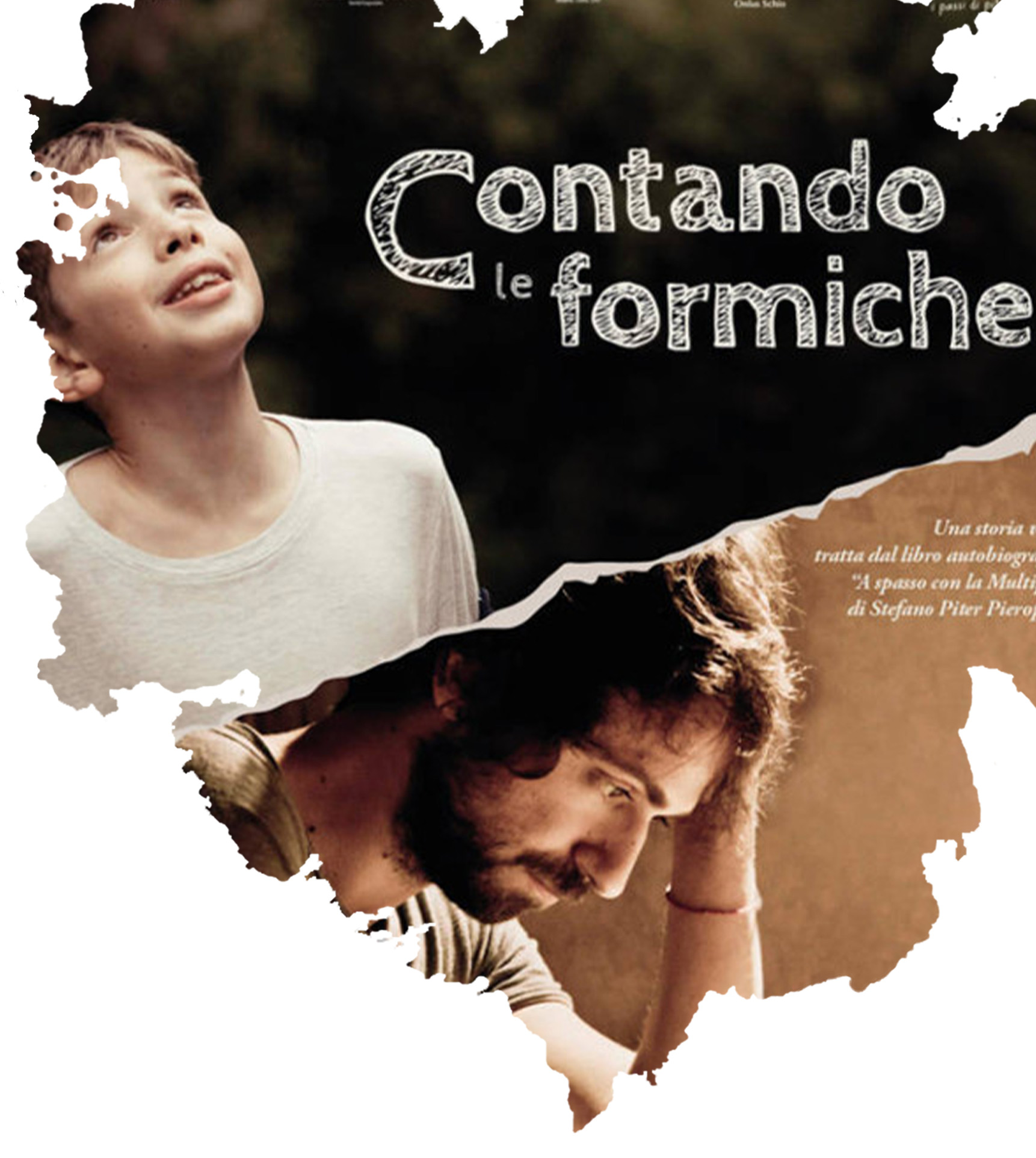 Contando Le Formiche