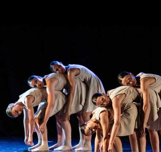 Sinergia Danza Sinergia Danza