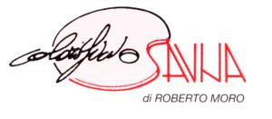 Logo SAVNA