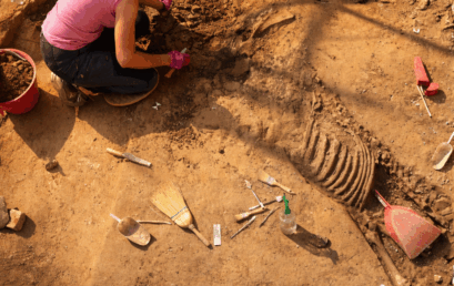 Le necropoli al Portello – Visita Guidata