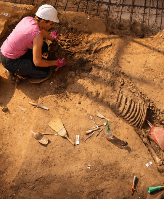 Le necropoli al Portello – Visita Guidata