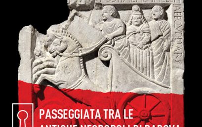Visita Guidata – Passeggiata tra le antiche necropoli di Padova