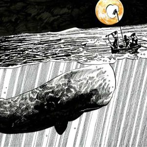 Una balena bianca tra le righe